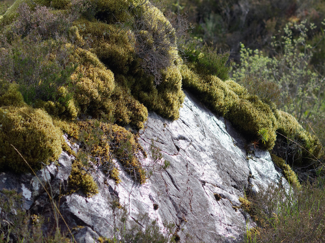 Beinn Eighe National Nature Reserve景点图片