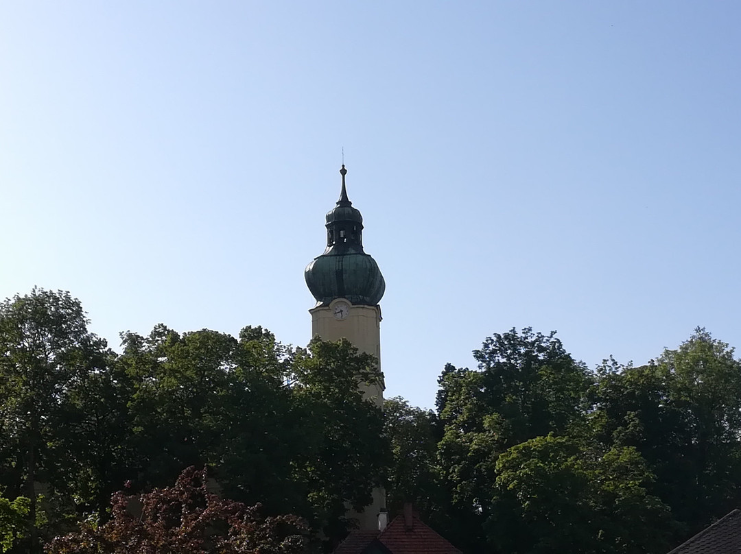 Church of the Assumption of the Blessed Virgin Mary景点图片
