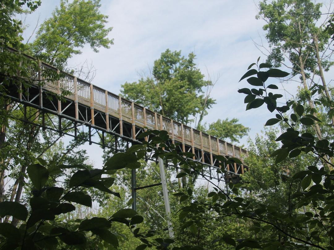 Sarett Nature Center景点图片