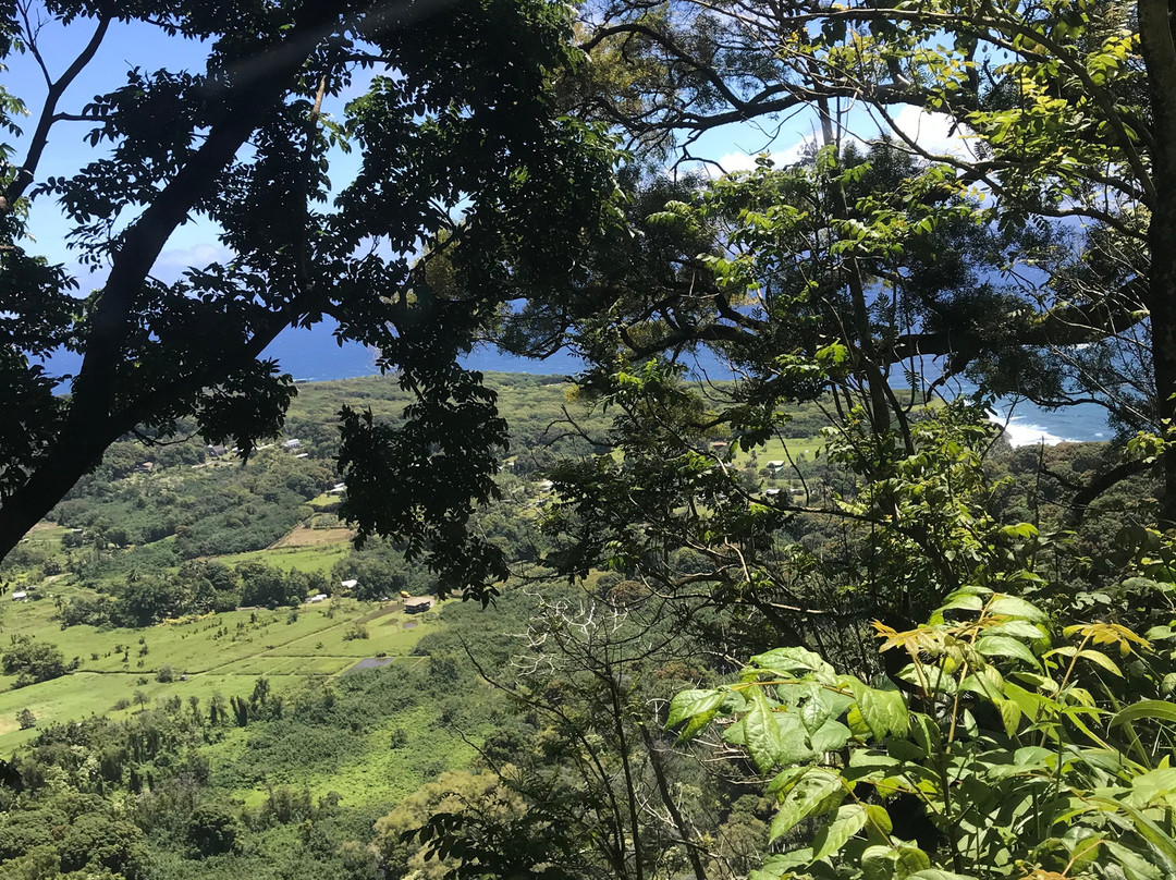 Adventure Maui Road to Hana Tour-哈纳必去景点
