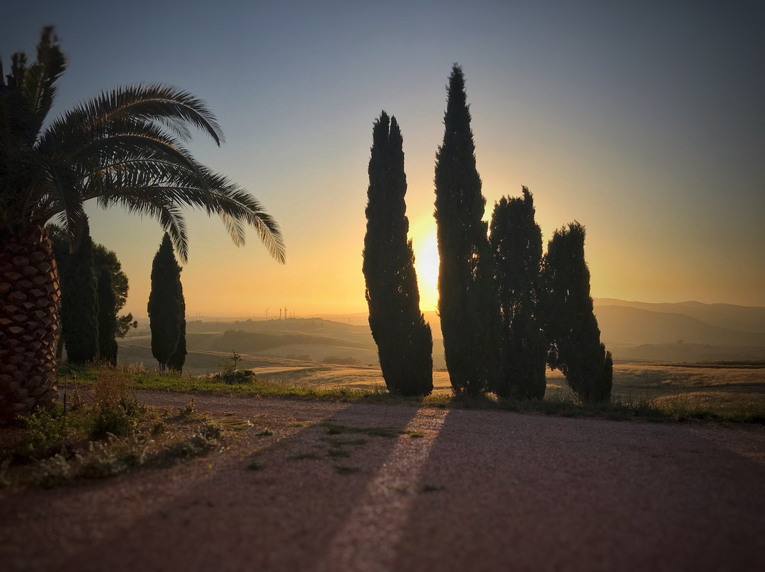 Agriturismo le Tassinaie主图