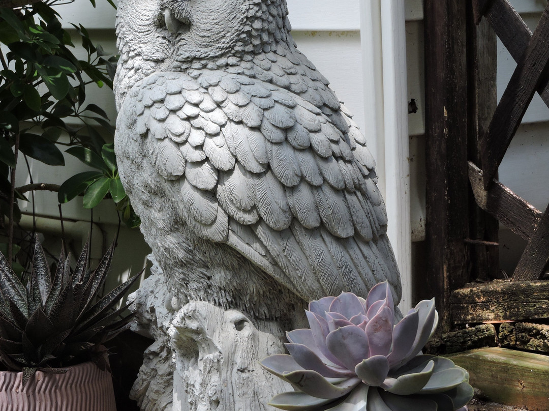 Papilio of Mount Dora-Mount Dora必去景点