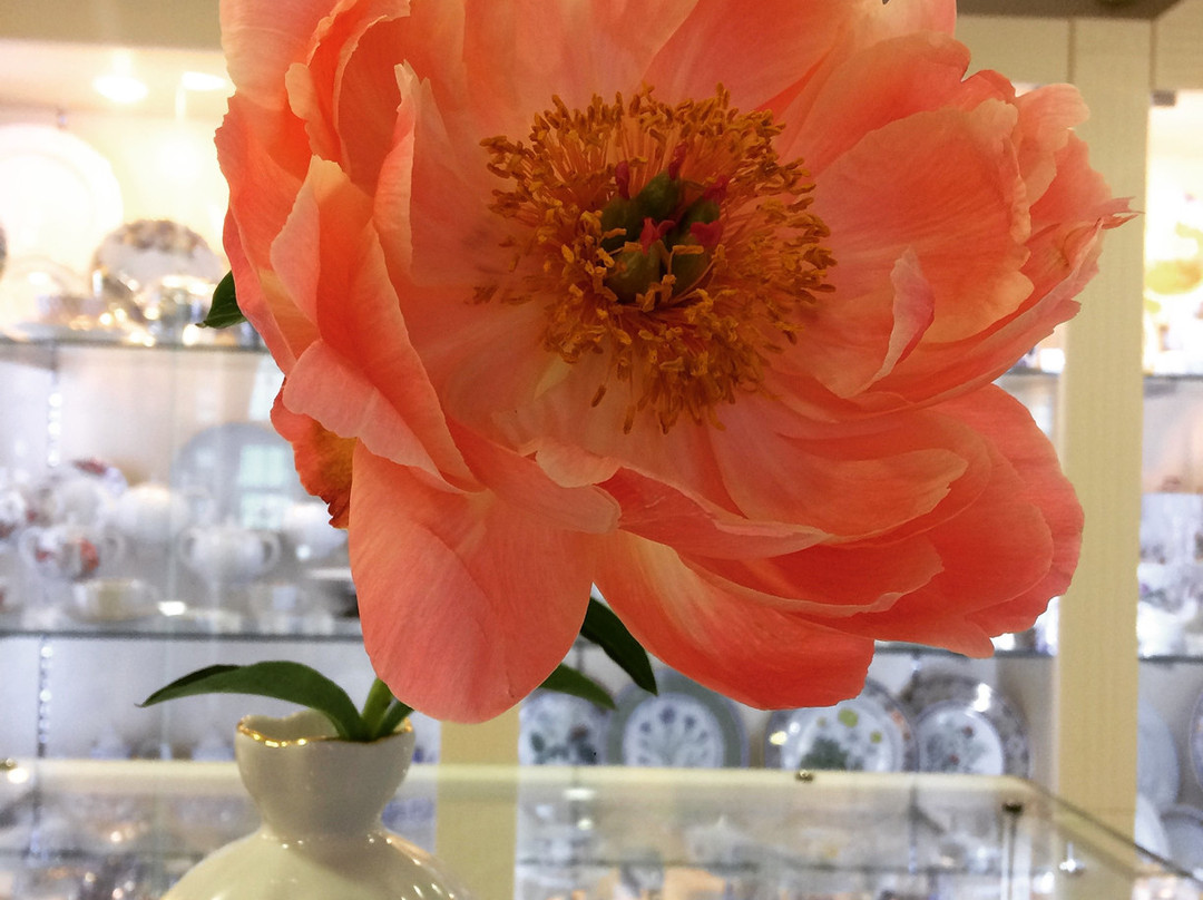 Shop Imperatorskiy Farfor-雅罗斯拉夫必去景点