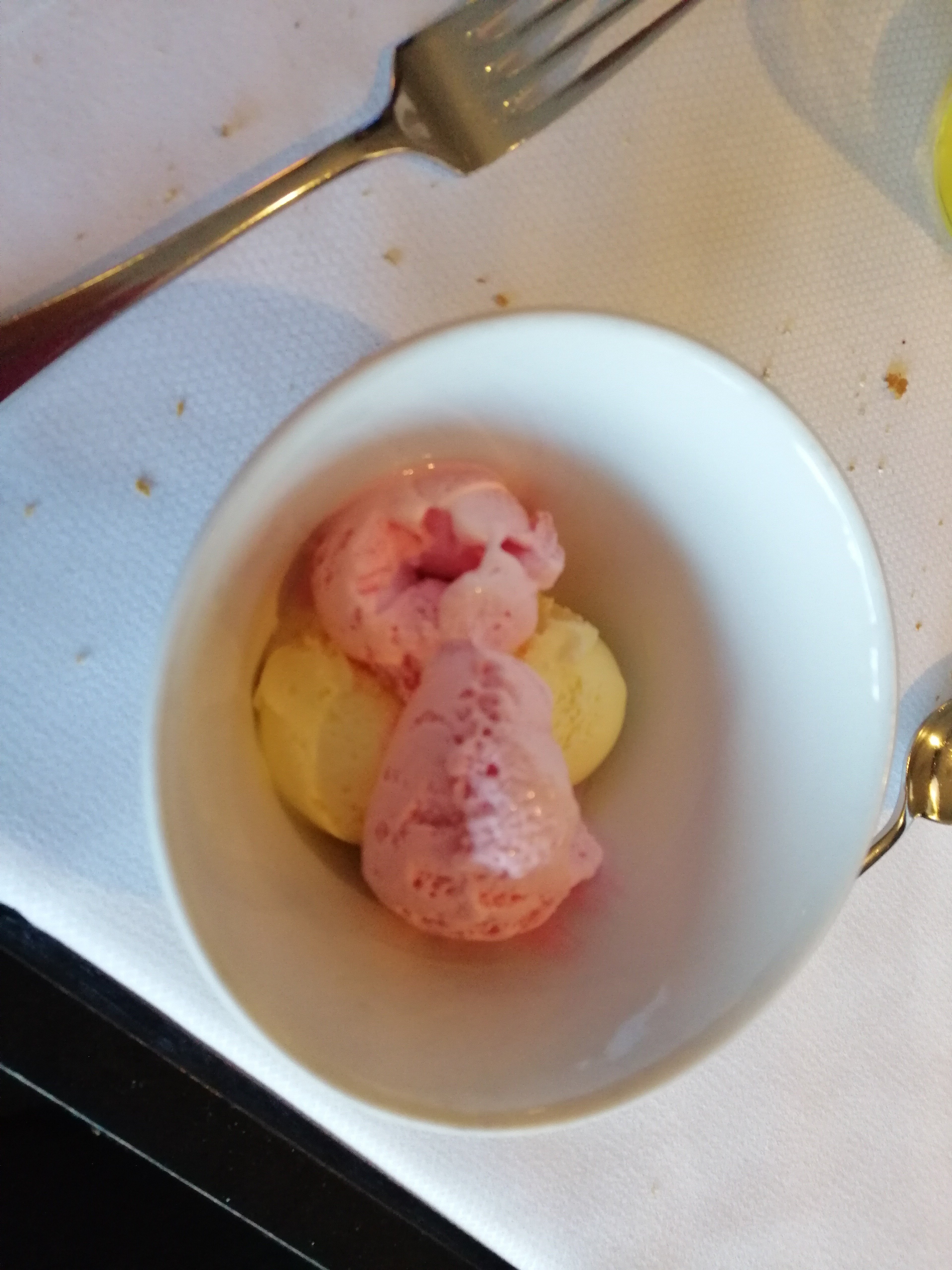Van der Valk Zaltbommel-A2-餐饮