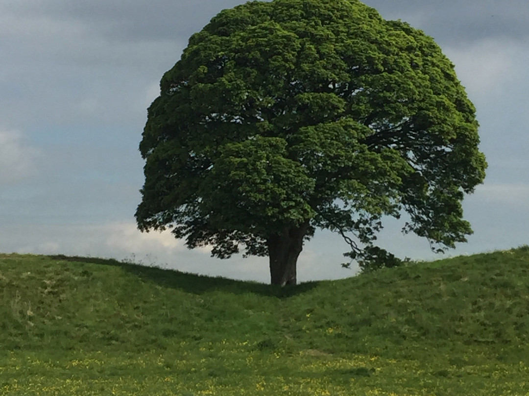 Giant's Ring-贝尔法斯特必去景点