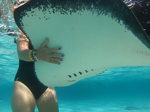 Robert Soto's Watersports-乔治城必去景点