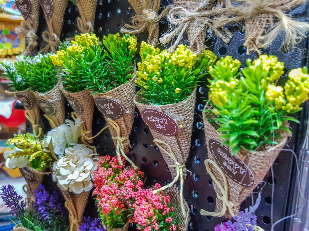 Gavodolla Souvenir Shop-Stari Bar必去景点