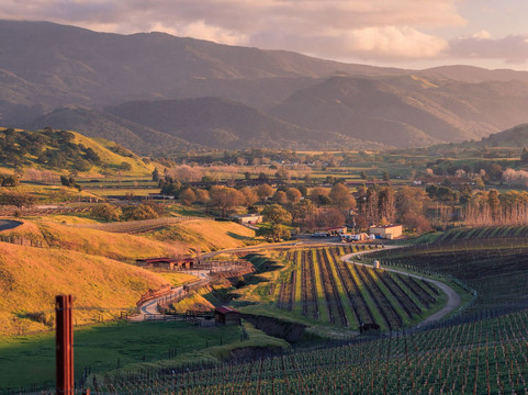 Crown Point Vineyards-圣伊内斯必去景点