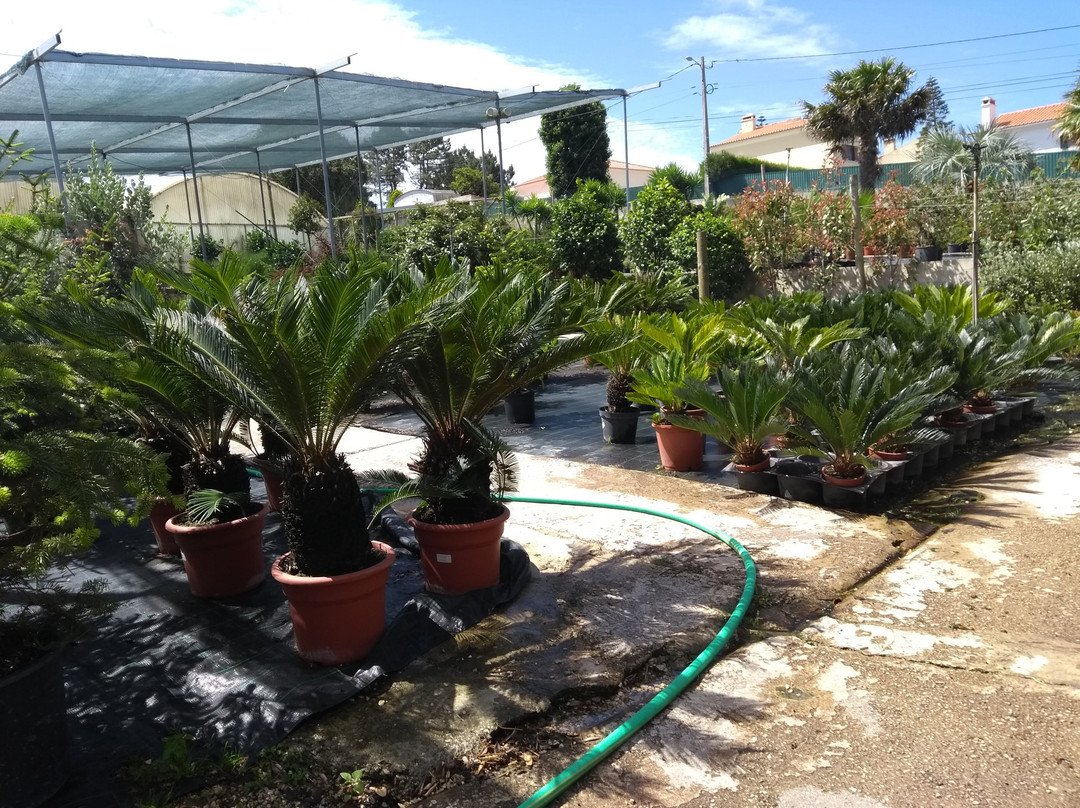 Jardim dos Bichos e Viveiros Batalha景点图片