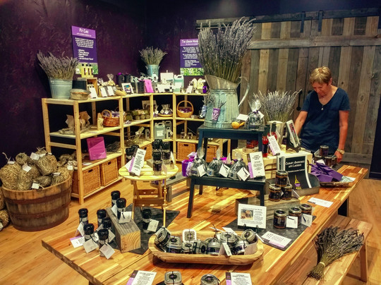 Pelindaba Lavender Savannah-萨凡纳必去景点