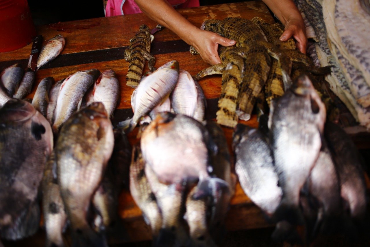 Amazon Reise Eco Lodge-官方
