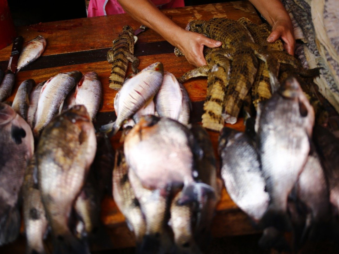 Amazon Reise Eco Lodge主图