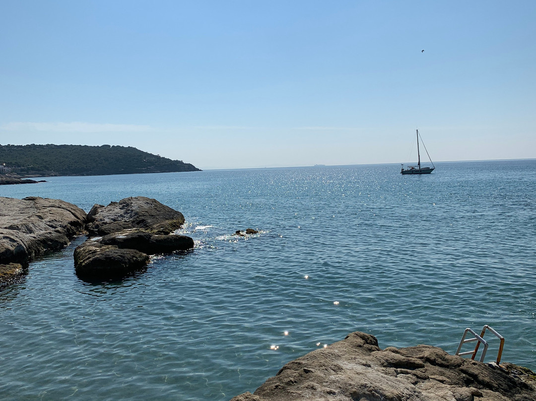 The Delfini Hotel主图