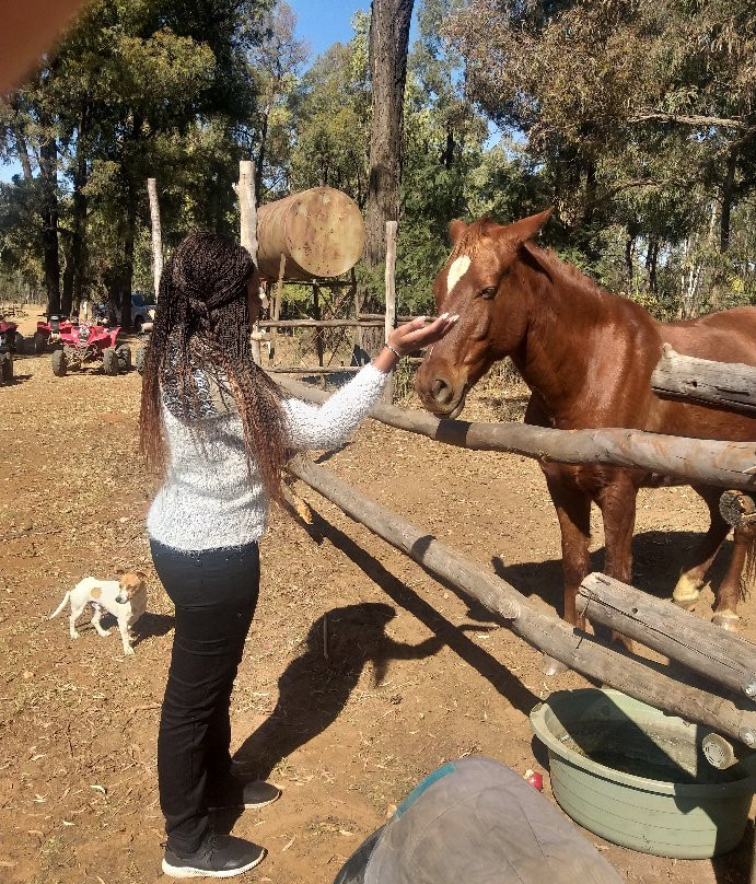 Horse Riding Adventures-柯立南必去景点