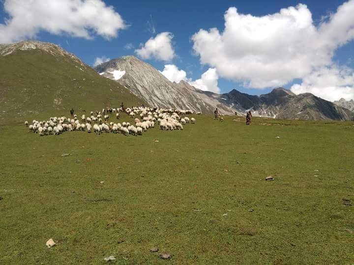 Baboon Valley-Keran必去景点