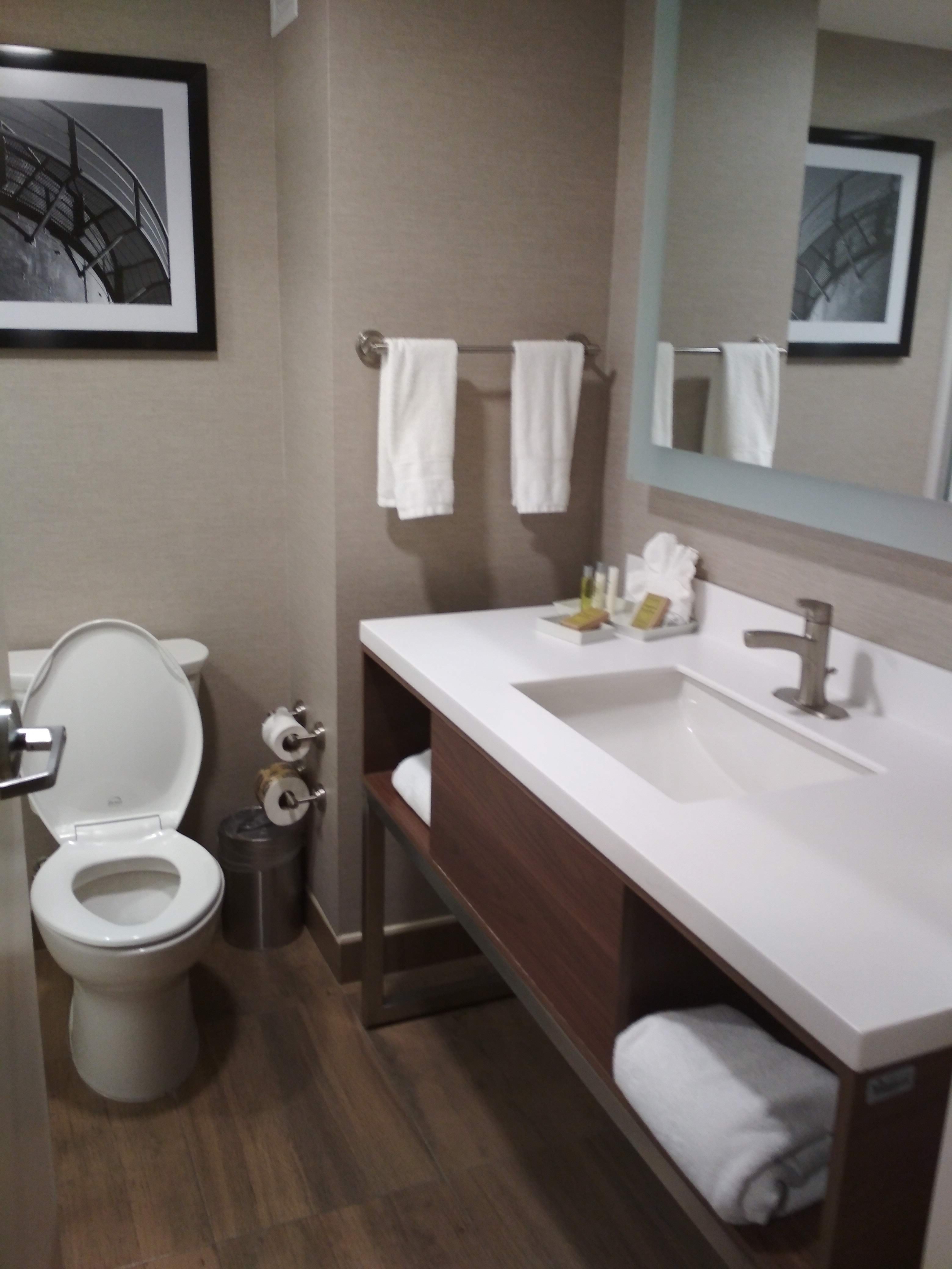 Hampton Inn By Hilton Monterrey/galerías-obispado-浴室