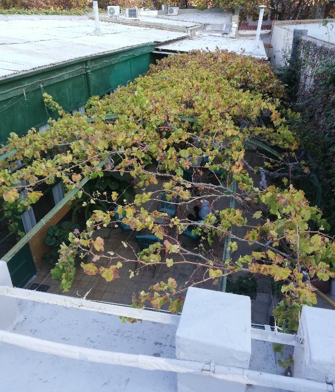 Hotel Mallorca主图