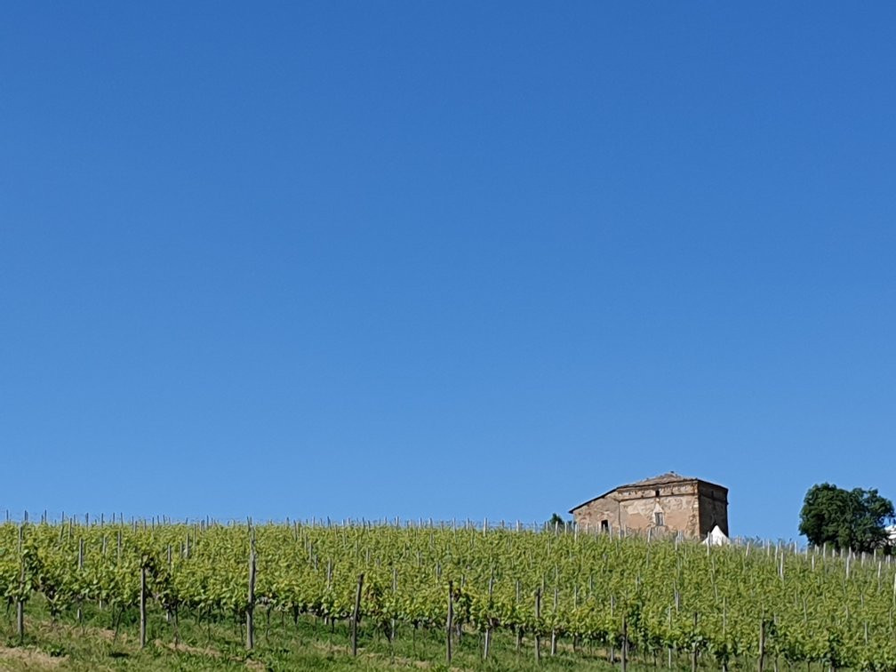 Poderi Fiorini景点图片