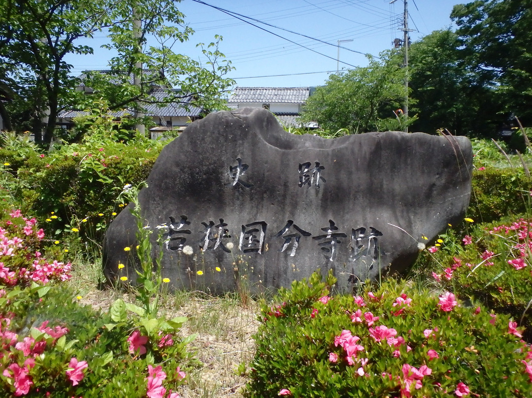 Kokubunji Temple景点图片