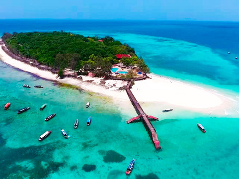 Zanzi inn tours & safari