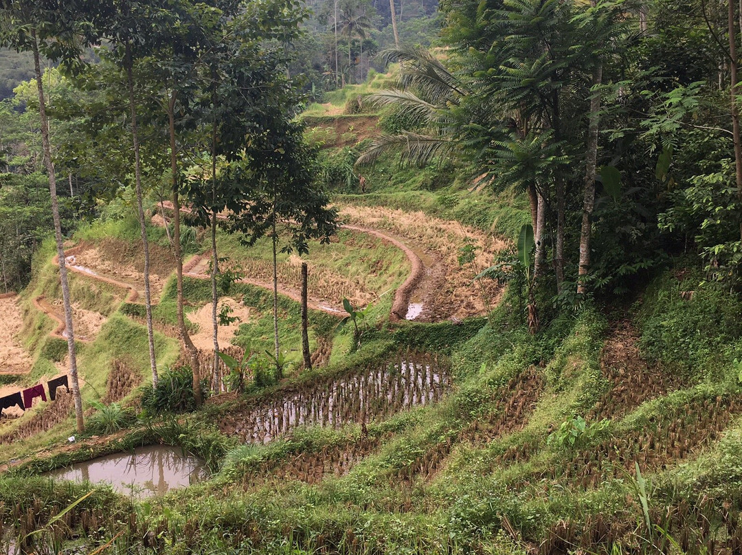 Kampung Naga-Tasikmalaya必去景点