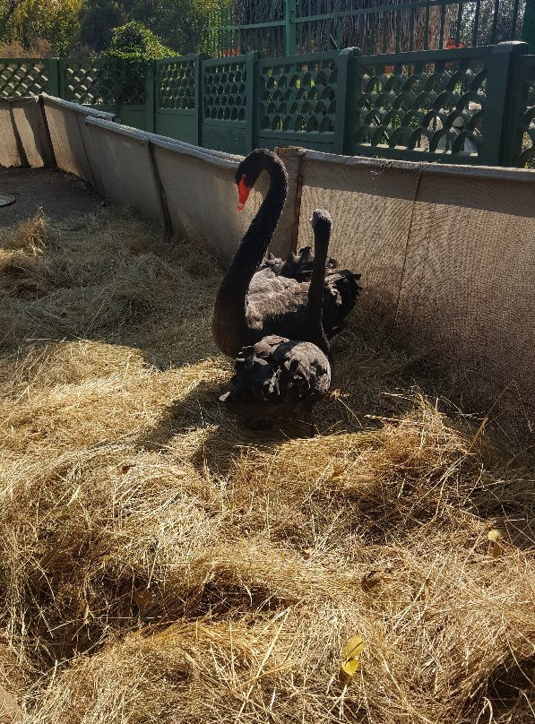 Hartbeespoort Aquarium-哈特比斯普特必去景点