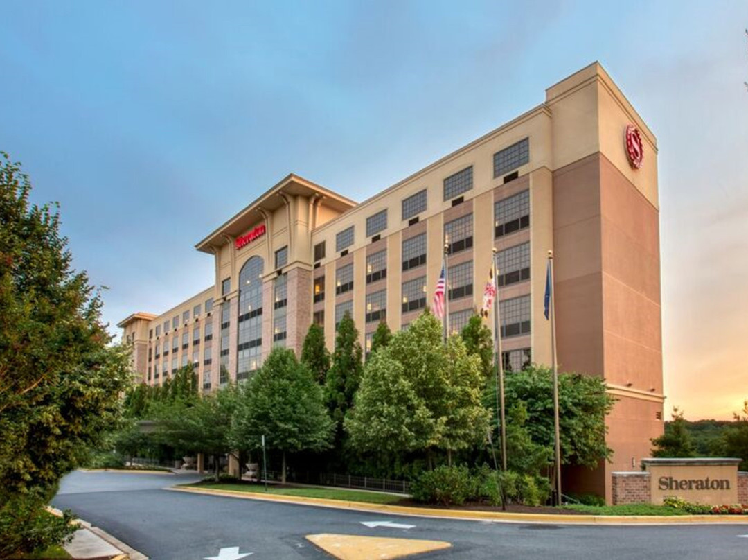 Sheraton Baltimore Washington Airport Hotel - BWI主图
