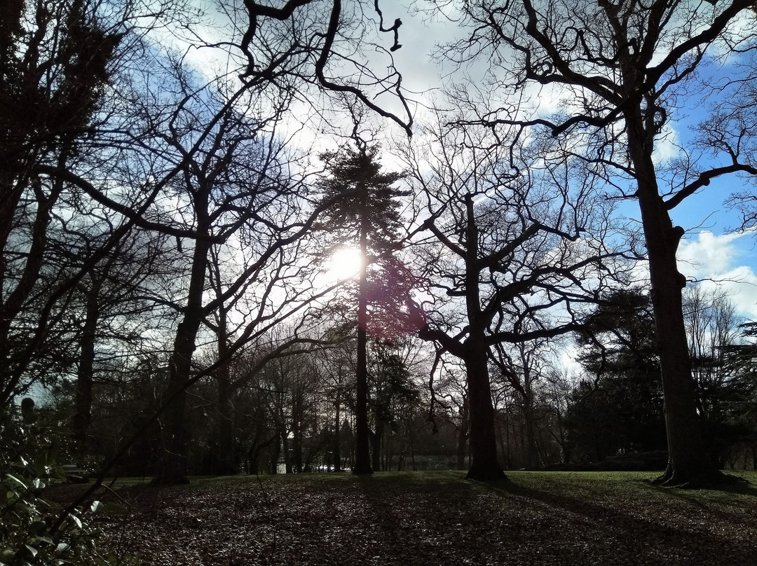 Hampden Park景点图片