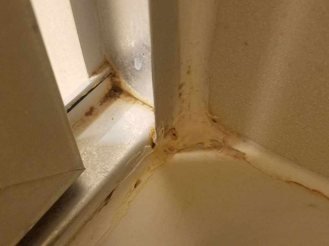 Hampton Inn & Suites Greensburg主图