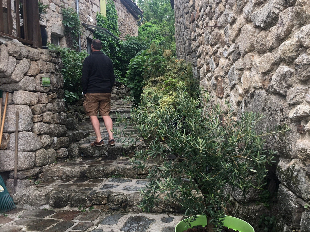 La Petite Cour Verte主图