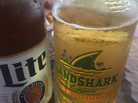 The Blue Parrot Grill-穆尔斯维尔必去景点