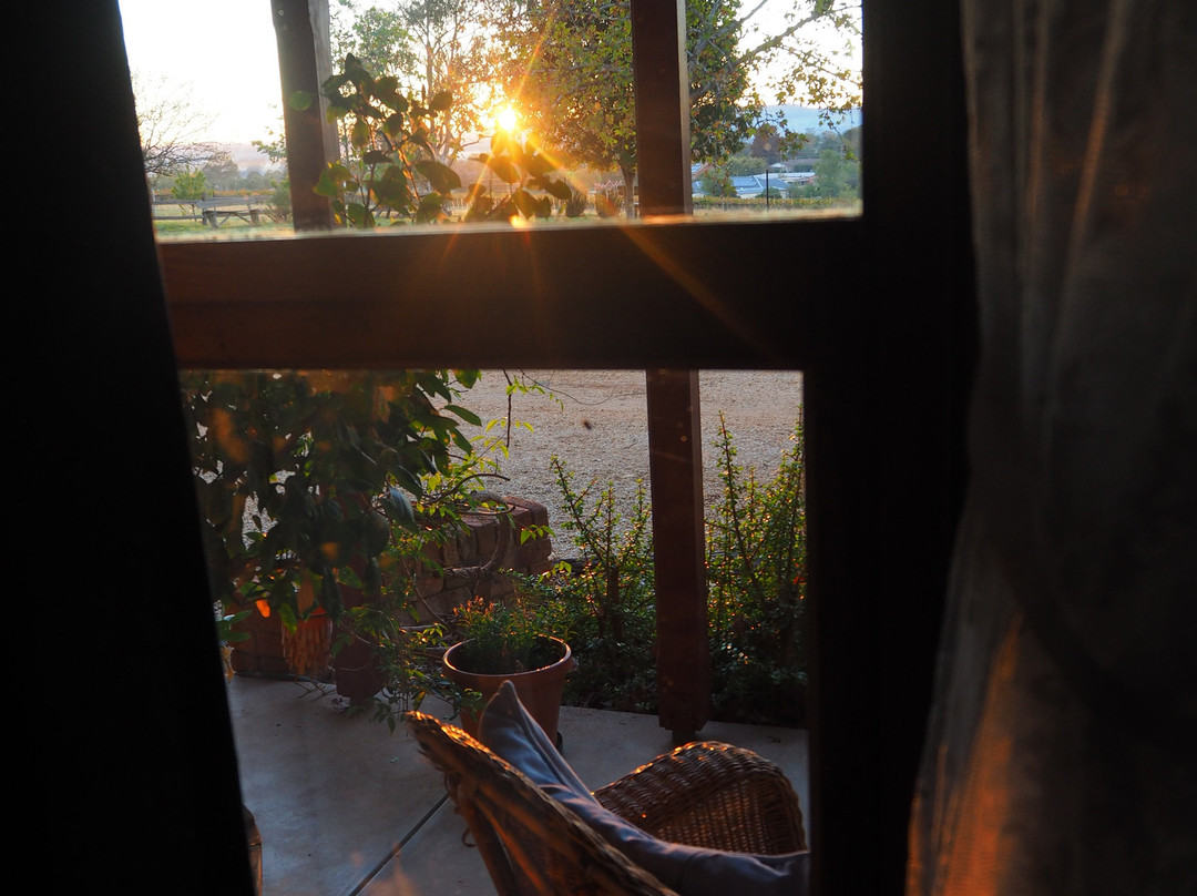 葡萄园汽车旅馆主图