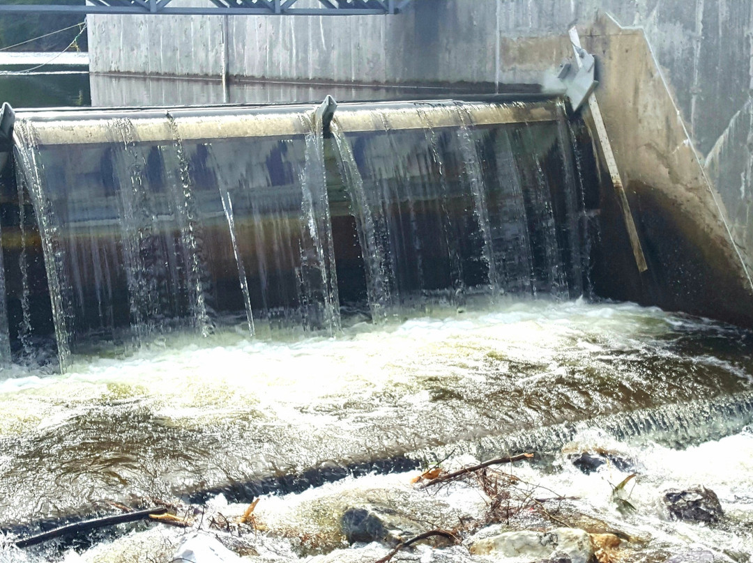 Centre de Villégiature Jouvence主图