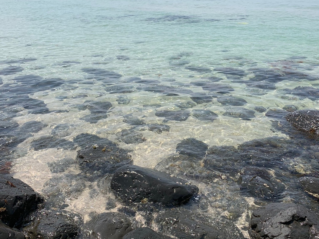 Shiokaze Cobalt Blue Beach-下关市必去景点