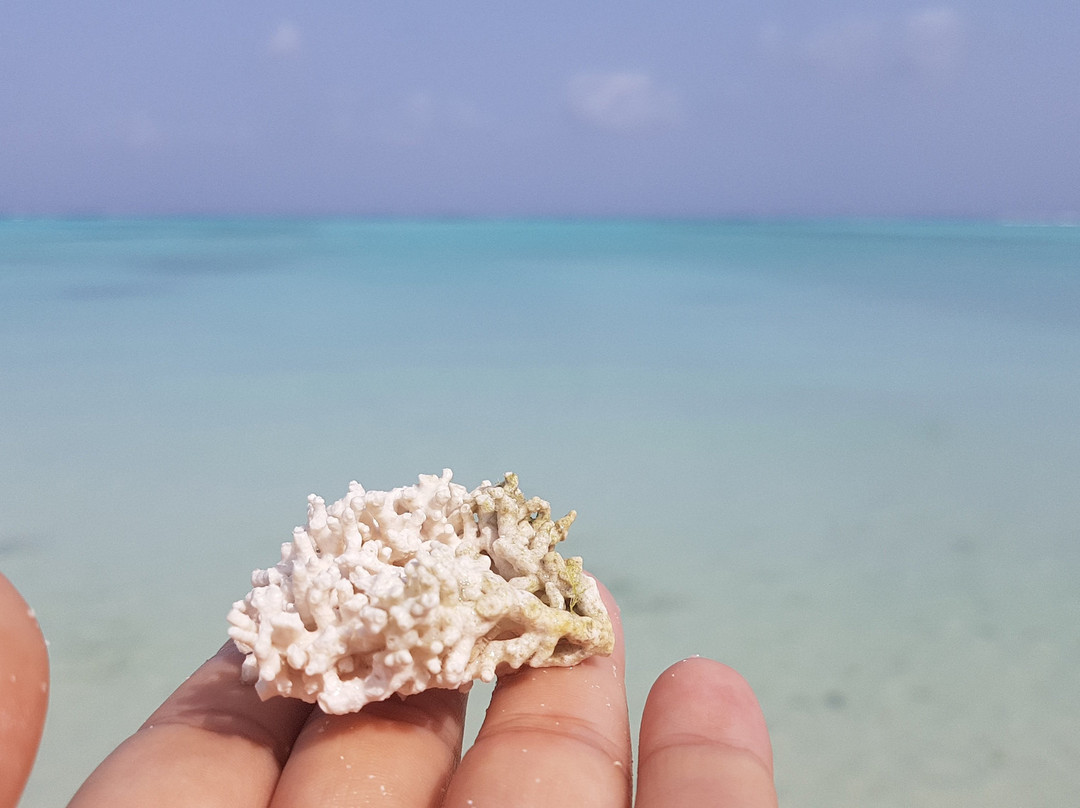 Lakshadweep Tour Package - Day Tours-Agatti必去景点