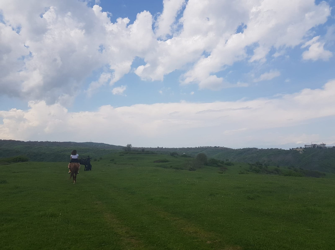 Living Roots Horse Ranch (Lost Ridge Ranch)景点图片