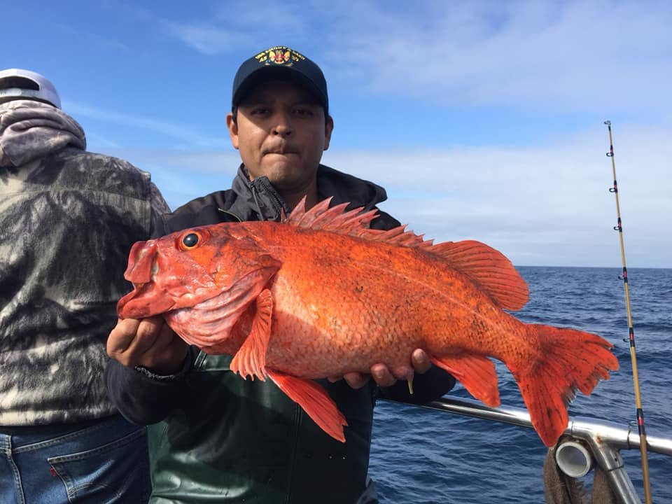 Fish Emeryville-埃默里维尔必去景点