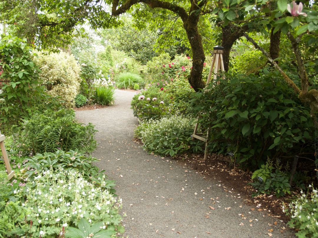 Rogerson Clematis Garden-莱克奥斯韦戈必去景点