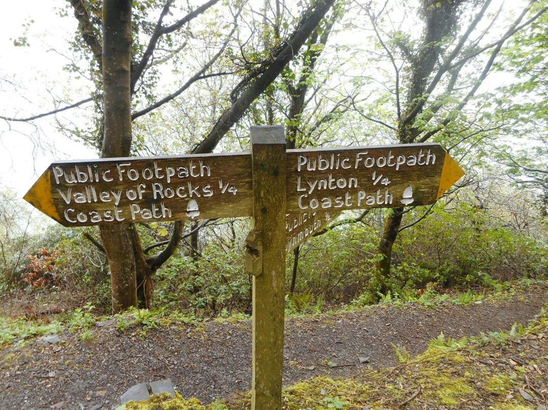Valley of Rocks Walk-South West Coast Path景点图片