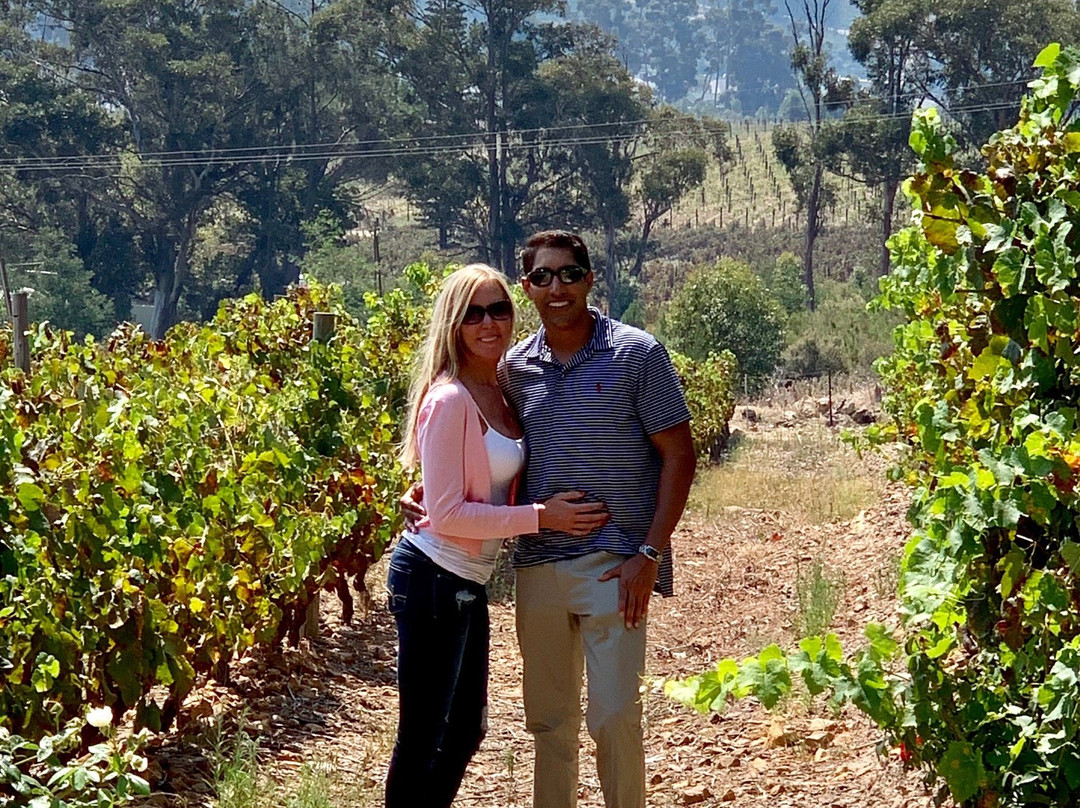 Rory Goldhill-开普敦中心区必去景点