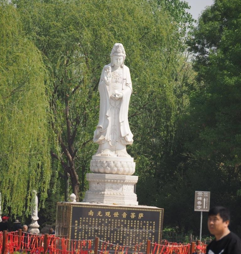 曹州牡丹园菏泽国际牡丹文化旅游节景点图片