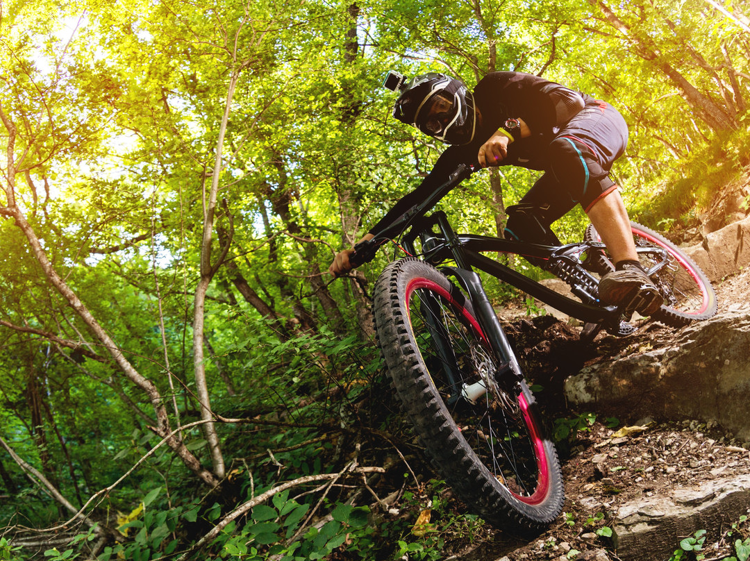 Singletrack School-多肯必去景点