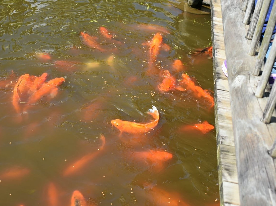 Hotel Hacienda Balandu主图