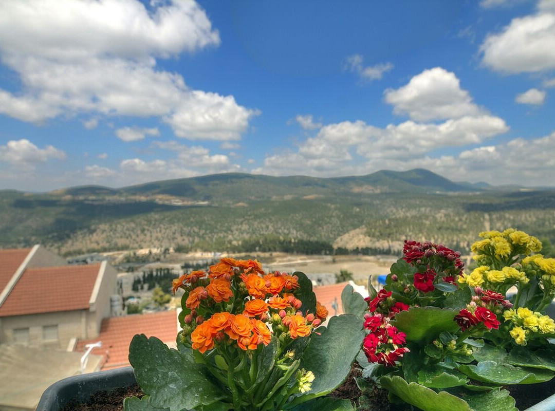 Nofesh Baatika主图