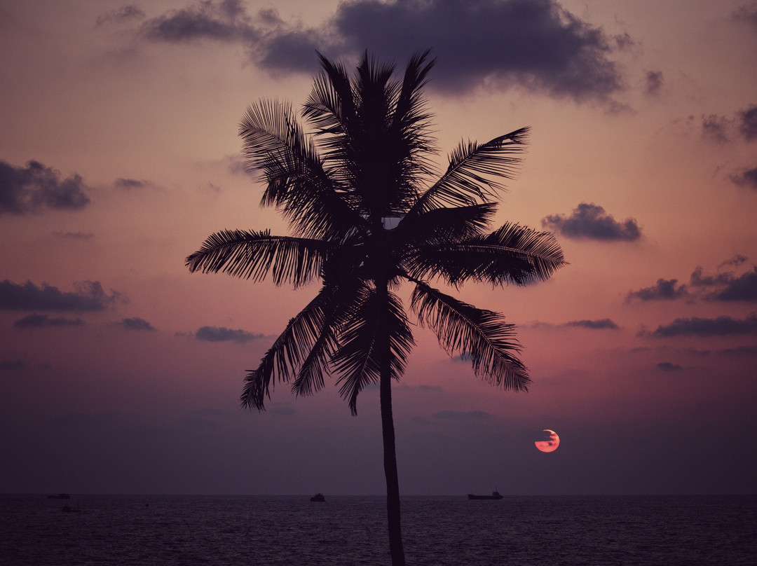 Sri Lanka Tours With Chamara-乌纳瓦图纳必去景点