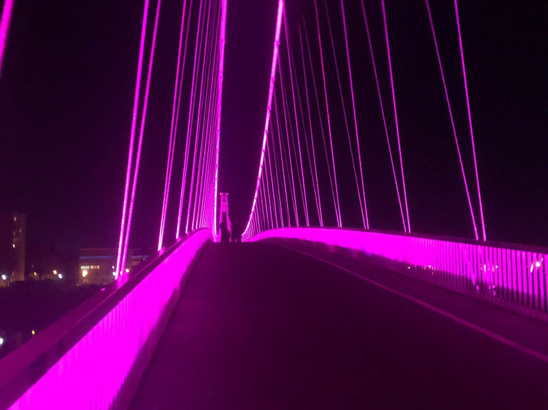 Pedestrian Bridge-奥西耶克必去景点