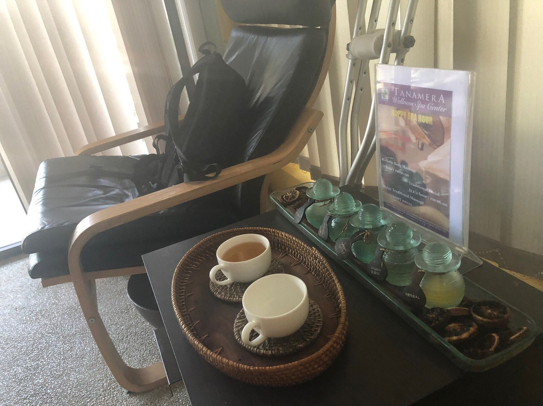 Tanamera Wellness Spa Centre景点图片