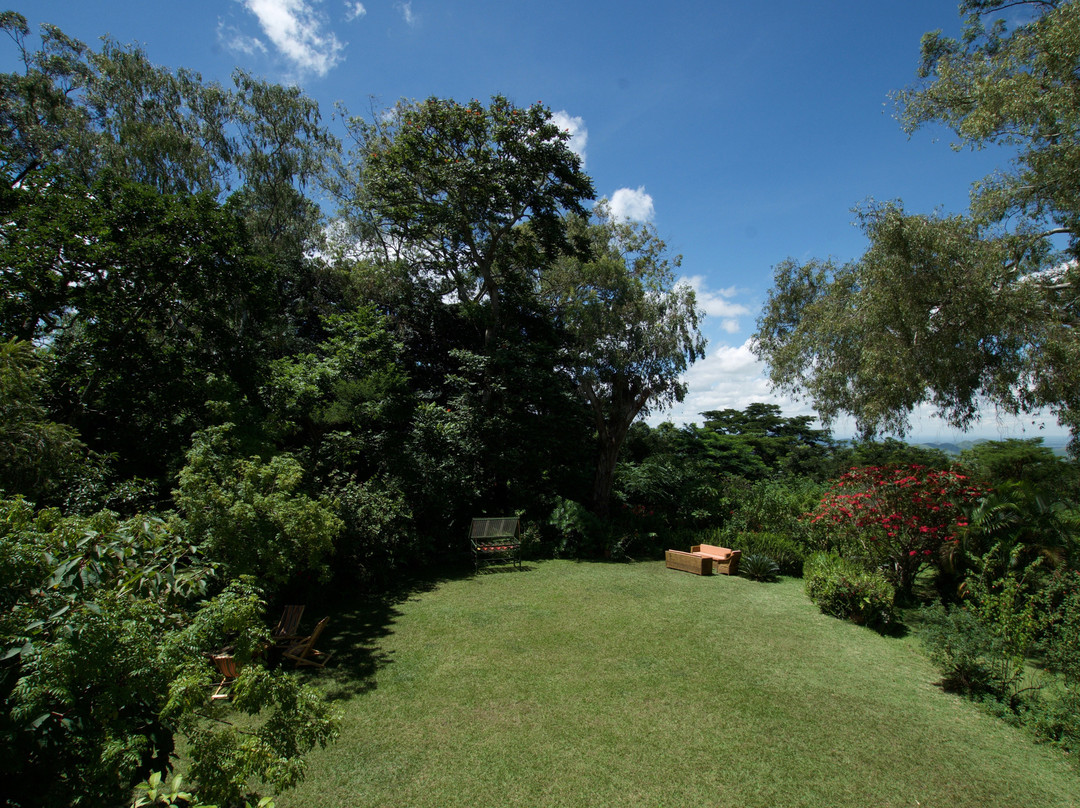 Zomba Forest Lodge主图