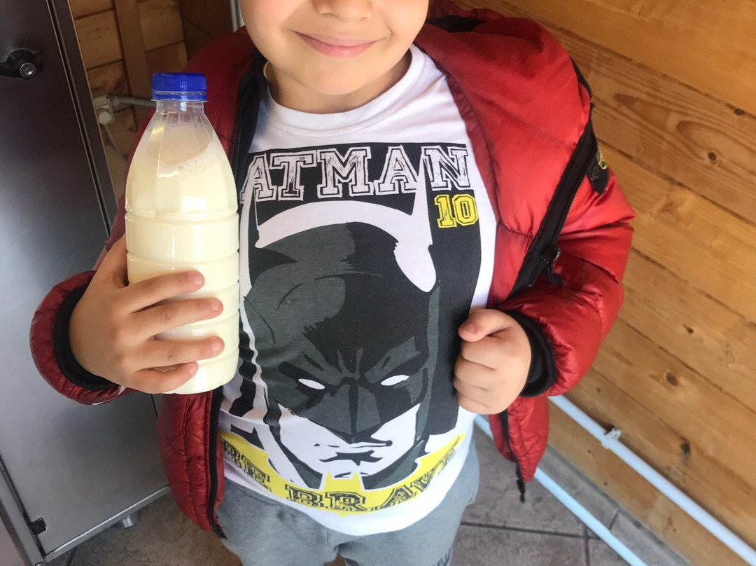 Societa Agricola F.lli Ponti-诺瓦米拉内塞必去景点