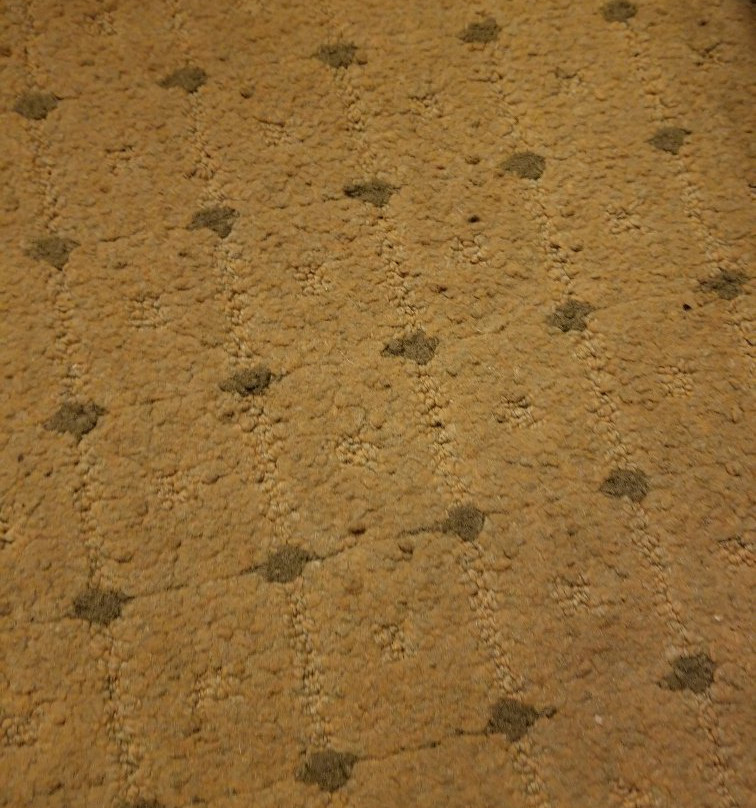 Super 8 by Wyndham Topeka at Forbes Landing主图